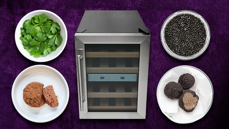 Wine fridge surrounded by various foods against a dark purple background