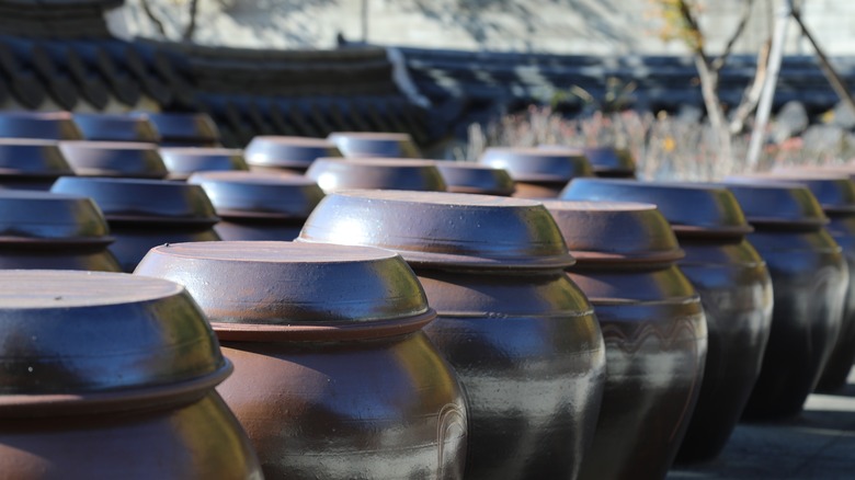 rows of jangdok