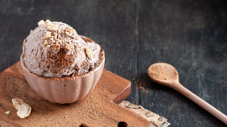 Homemade cashew ice cream 