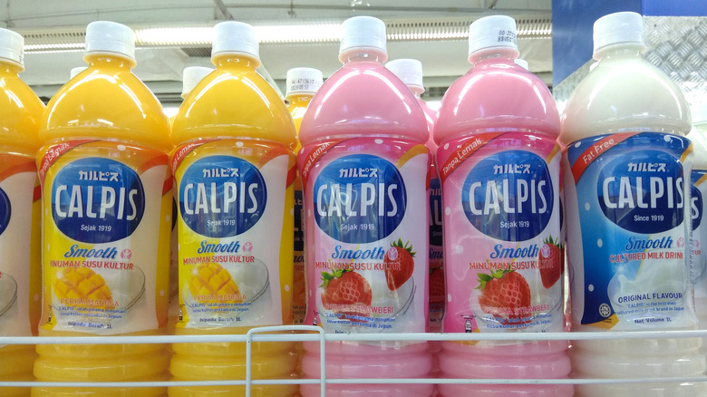 different flavors of bottled Calpis on a rack