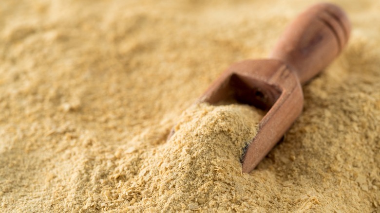 wooden scoop in nutritional yeast