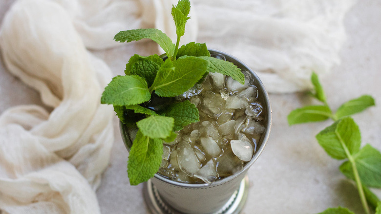 mint julep with mint garnish