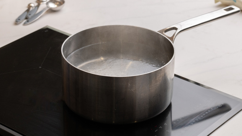 Boiling saucepan of water