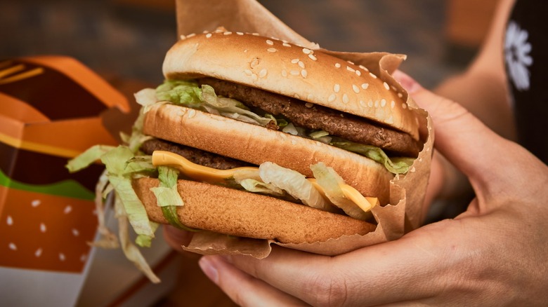 Hands holding a McDonald's Big Mac